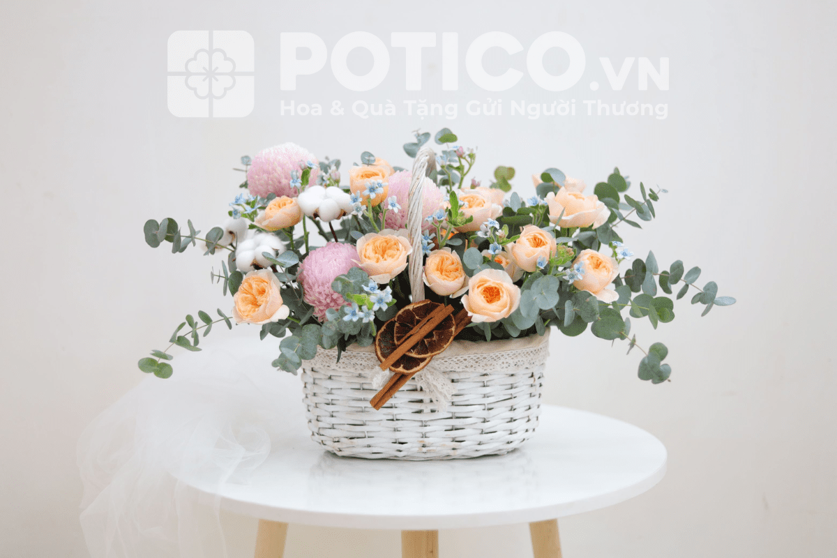 Potico.vn