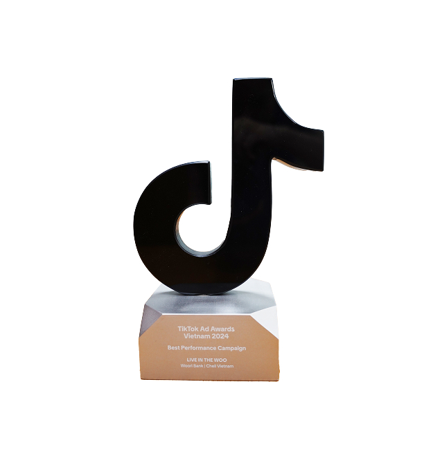 TikTok 베트남 광고상