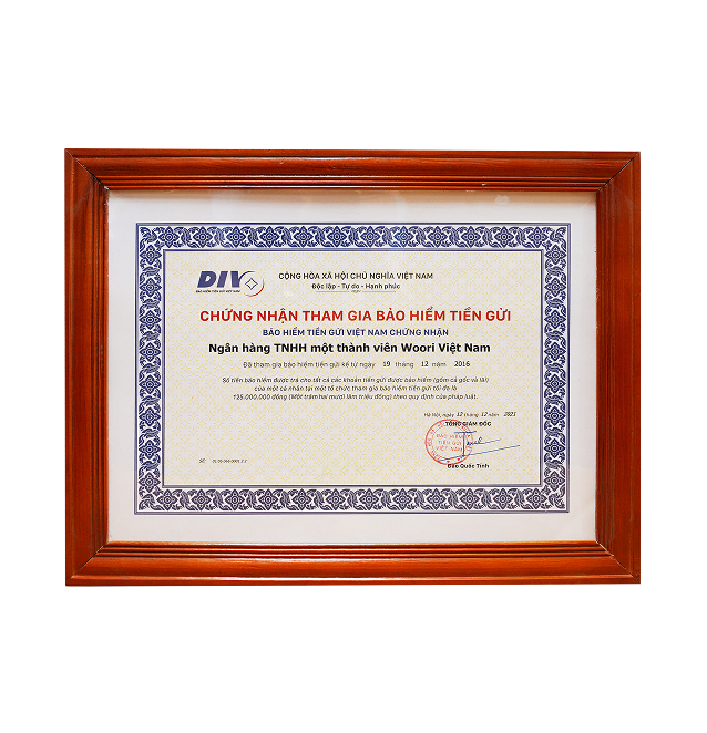 Vietnam Deposit Insurance 